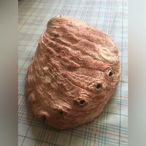 Large Pink Red Natural Abalone Sea Shell Approx. 7.5” Across, Cool Center Piece